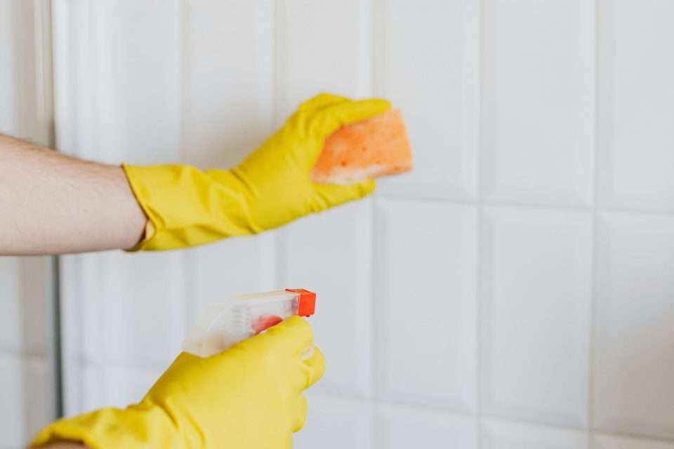 cc0 cleaning backsplash supplies